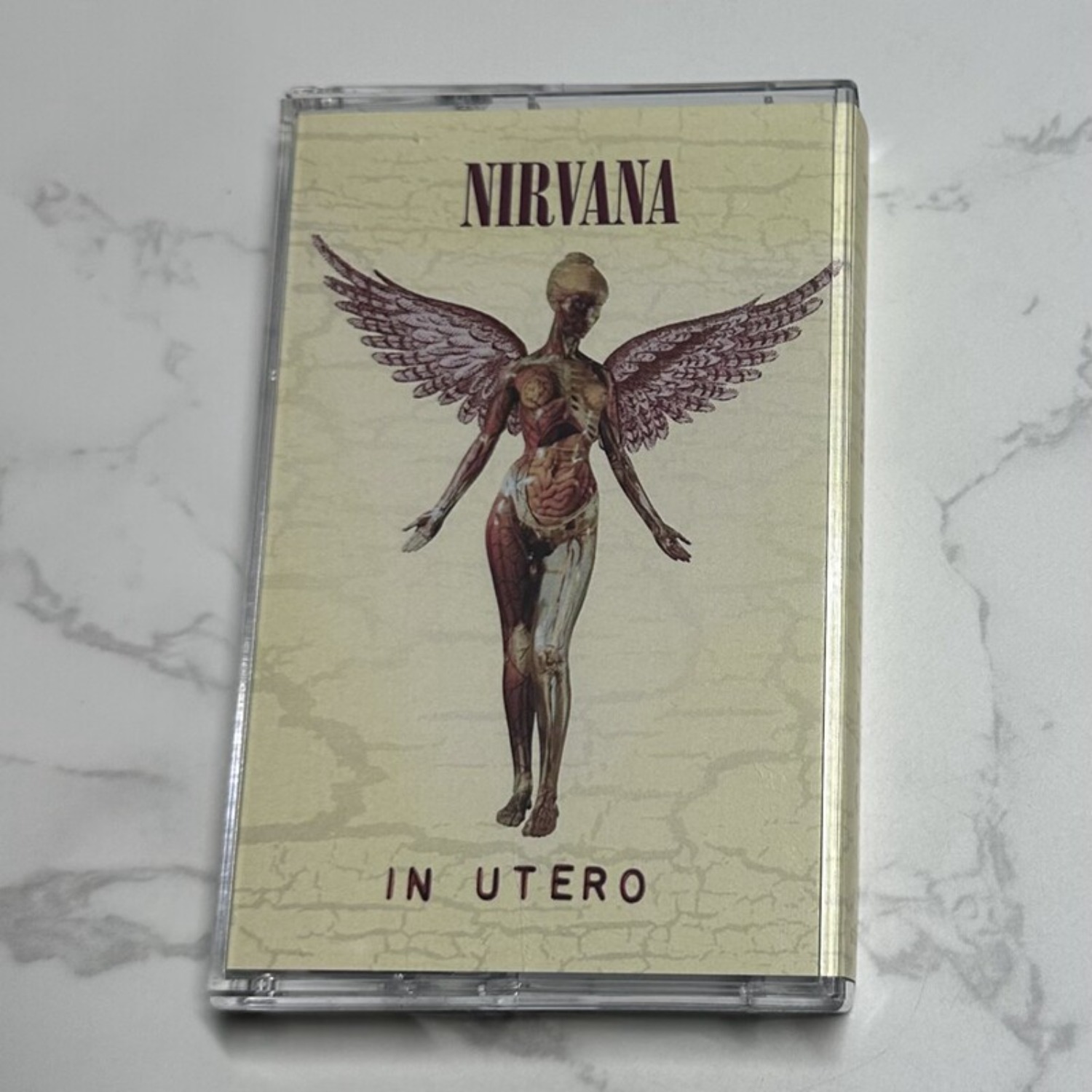 Nirvana Complete Album Collect - Vintage Collectibles 리뷰 및 가격